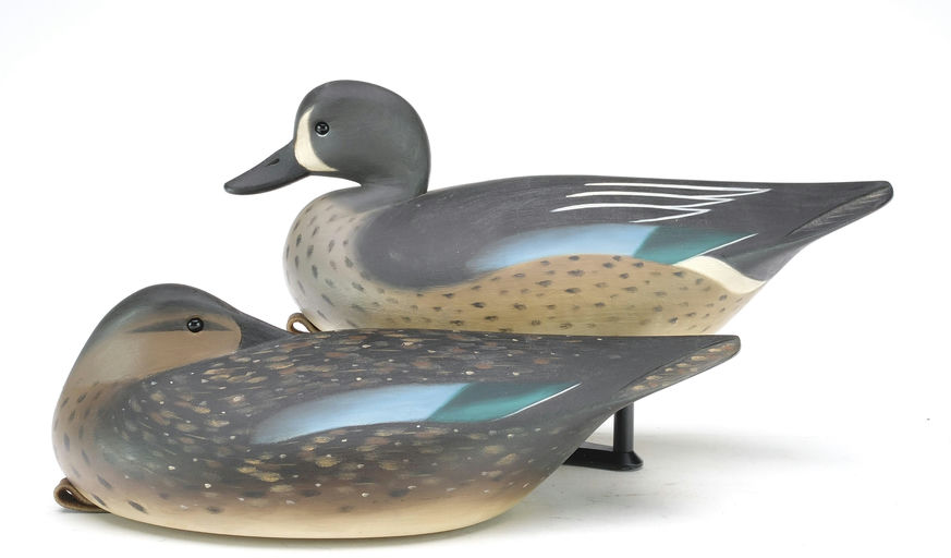 Pete Peterson – Pair of Blue-winged Teal – 2024