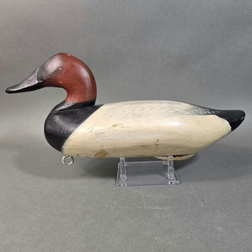 James Currier – Canvasback – 2026