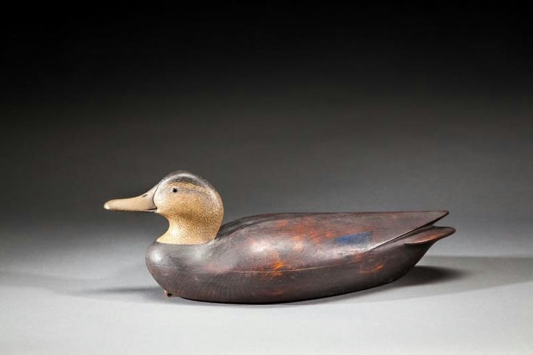 Ian McNair – Black Duck – 2016