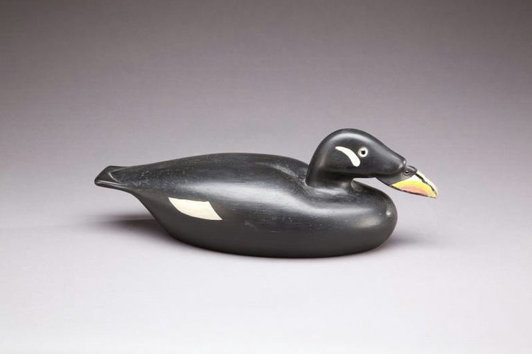 Roswell E. Bliss – White-Winged Scoter – 2013