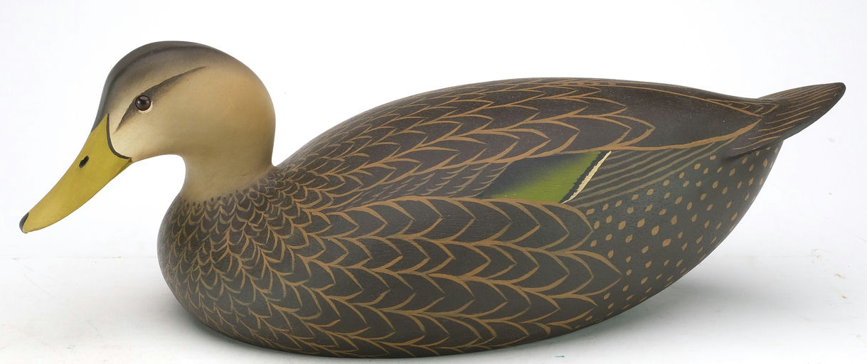 Oliver Lawson – Black Duck – 2024
