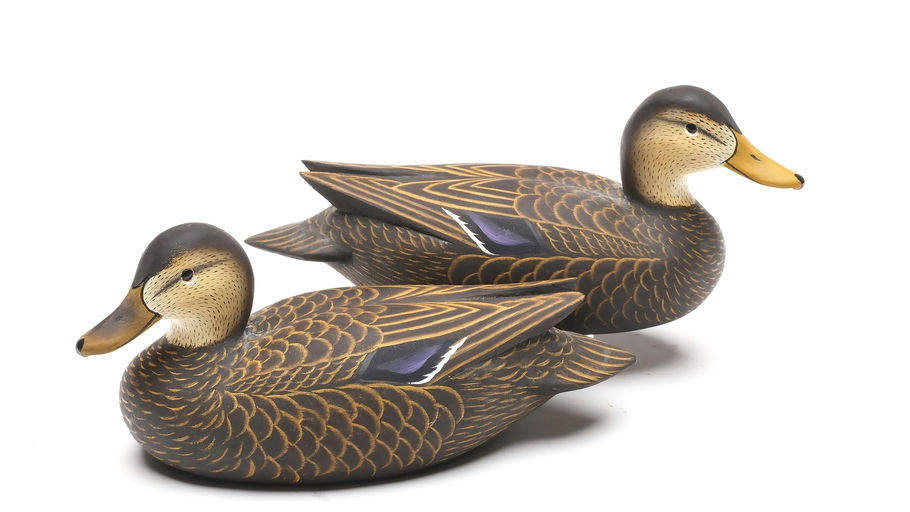 Charlie Joiner – Pair of Black Duck – 2026