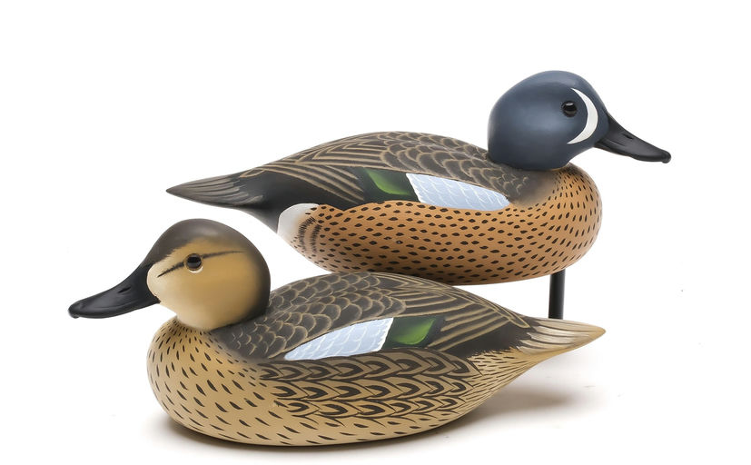 Charlie Joiner – Pair of Teal – 2026