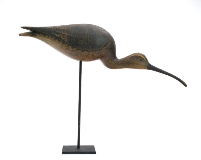 Mark McNair – Running Curlew – 2024