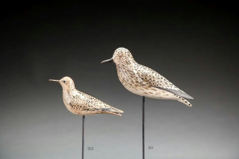 Elmer Crowell – Golden Plover – 2016