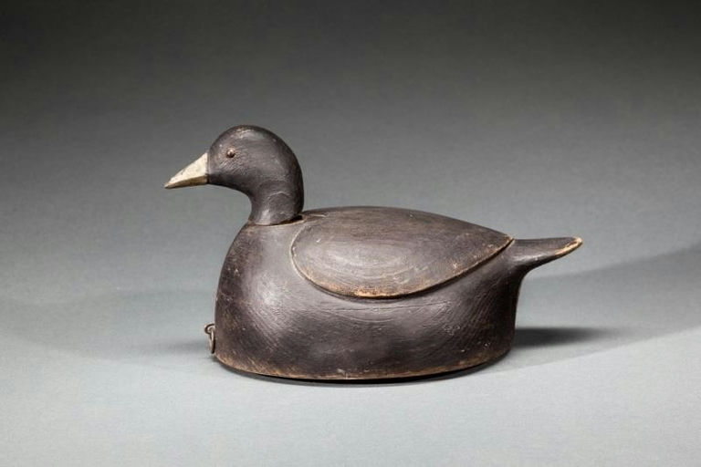 Mark McNair – Rocking-Head Coot – 2015