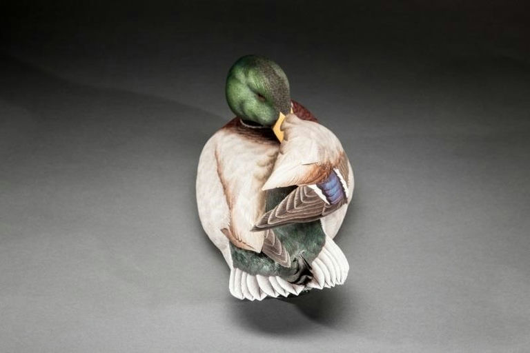 Randy Tull – Mallard Drake – 2015