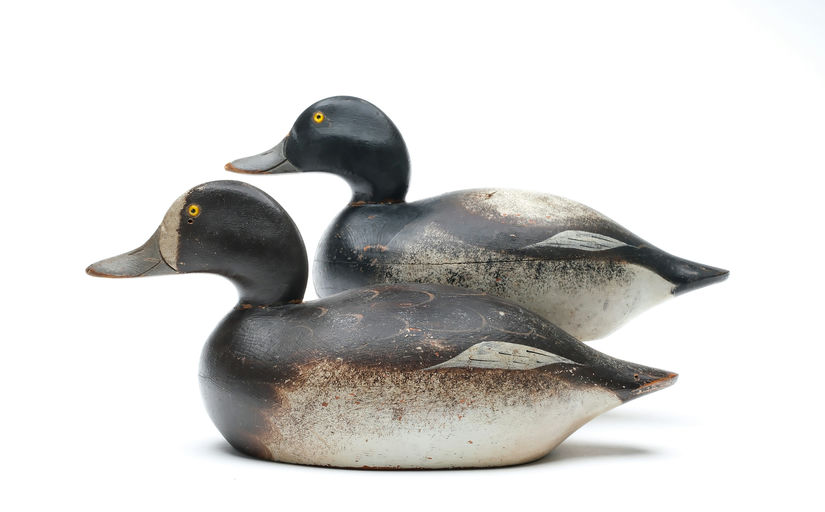 Mason Decoy Factory – Pair of Bluebills – 2025