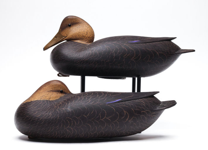 Herb Miller — Black Duck