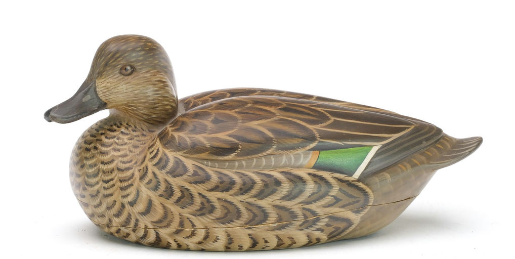 Tom Matus – Green-winged Teal Hen – 2024