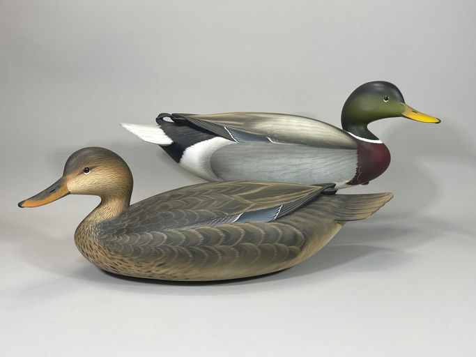 George Strunk – Mallard – 2026