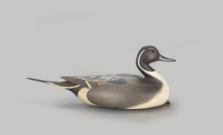 Bill Gibian – Pintail Drake – 2022
