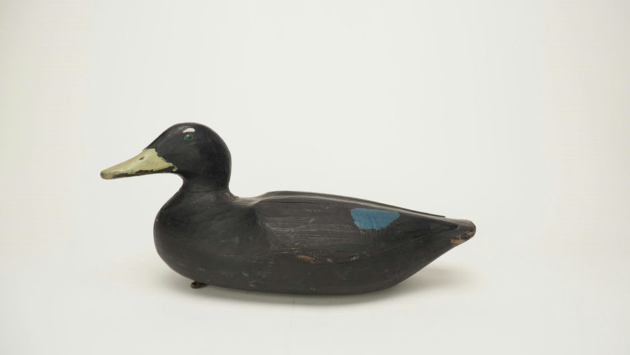 Gus Wilson – Restored Black Duck – 2024