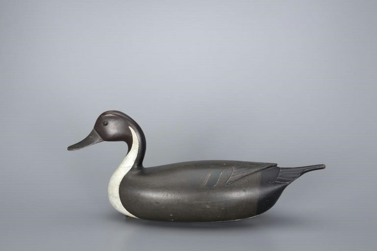 John English – The English Pintail Drake – 2017