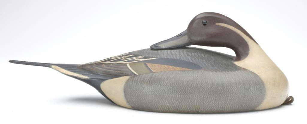 David Ward – Pintail – 2023