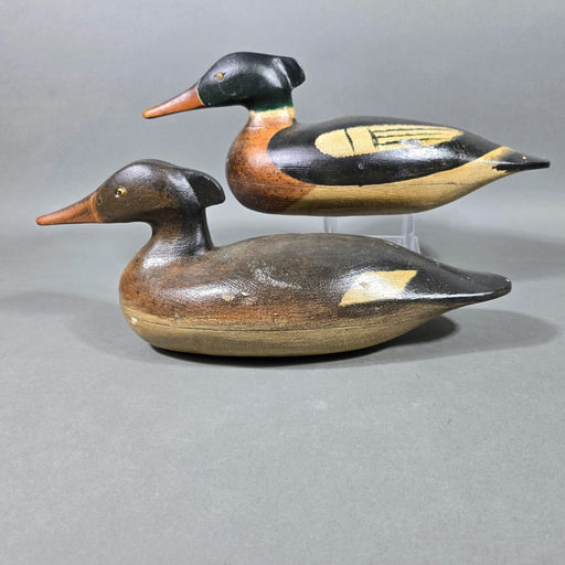 Ken Kirby – Merganser – 2026