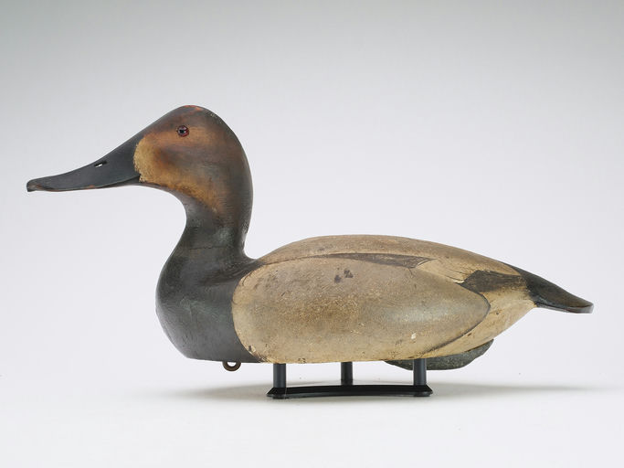Ward Brothers – Canvasback – 2024
