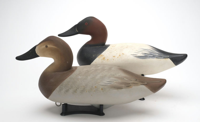 Charlie Joiner – Pair of Canvasback – 2026