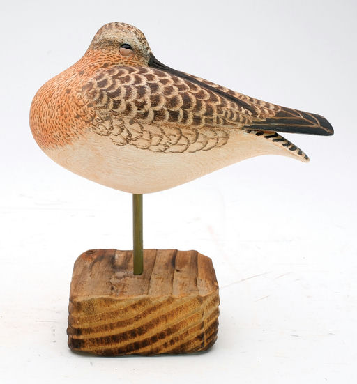 Cigar Daisey – Dowitcher – 2024
