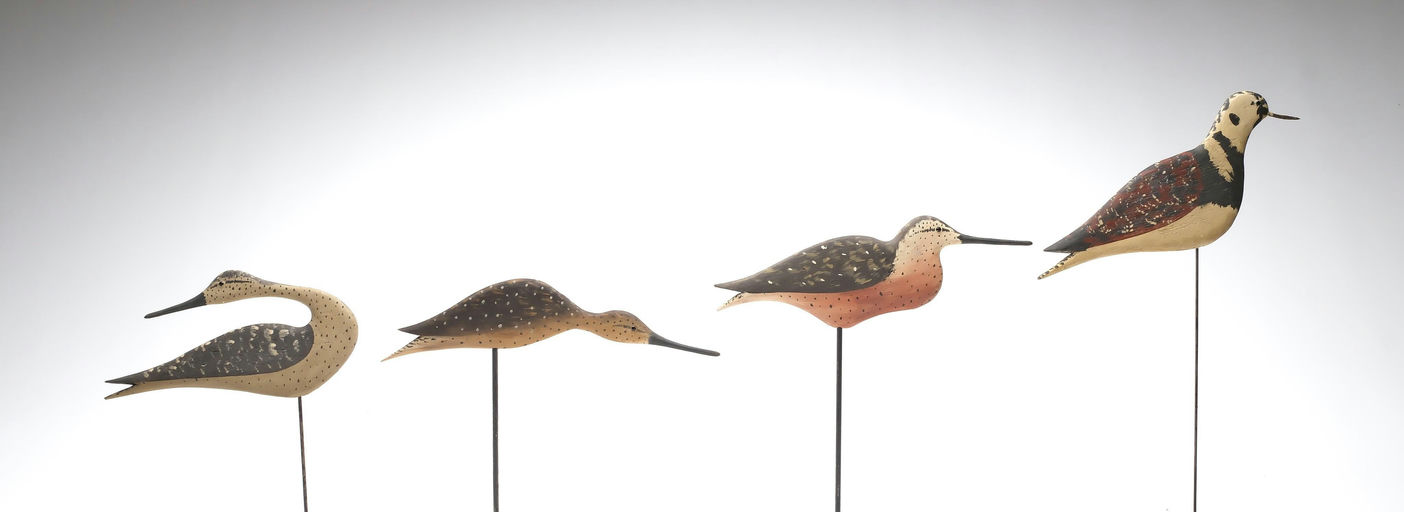 Bob White – 4 Flattie Shorebirds – 2026