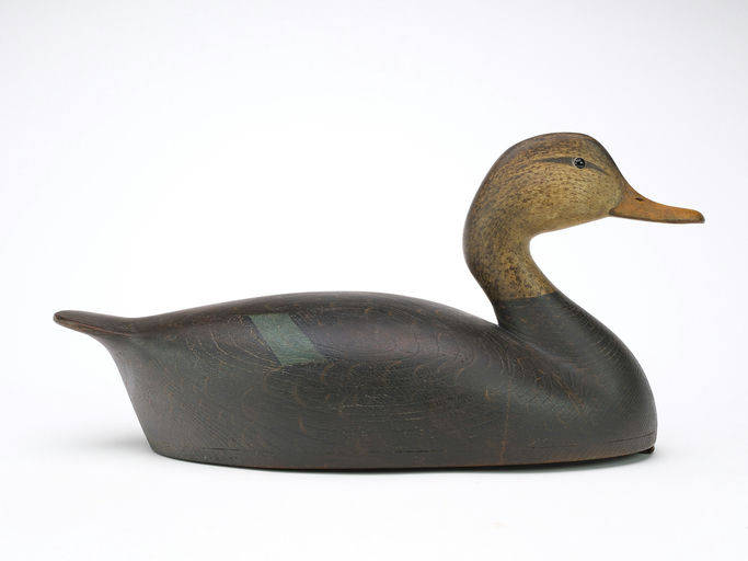 Cameron McIntyre – Black Duck – 2024
