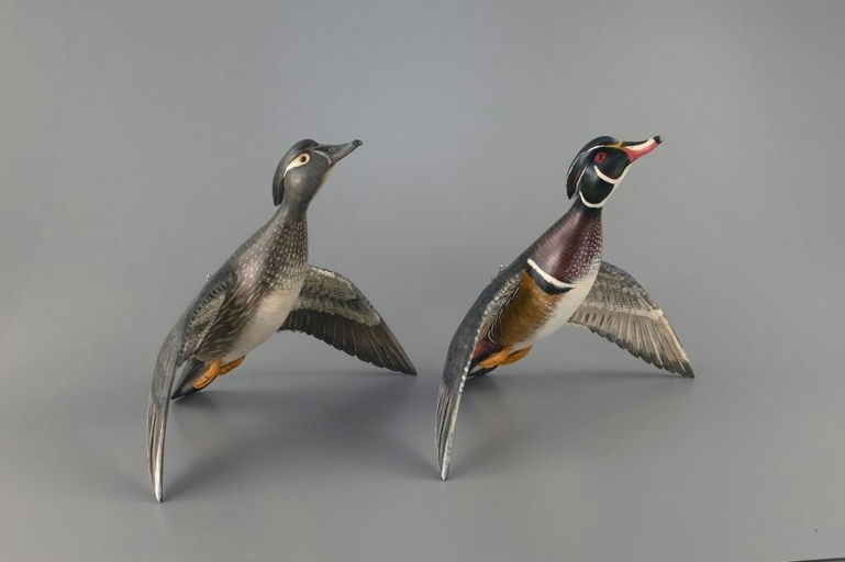 Mike Borrett – Flying Wood Duck Pair – 2025