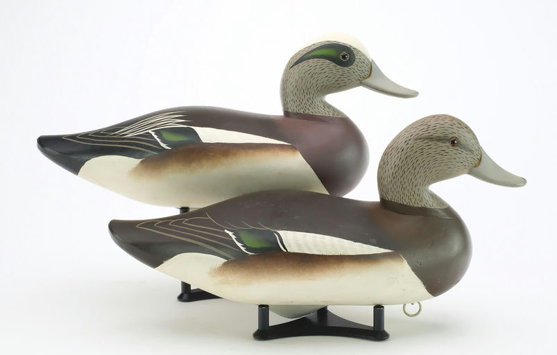 Charlie Joiner – Pair of Widgeon – 2024