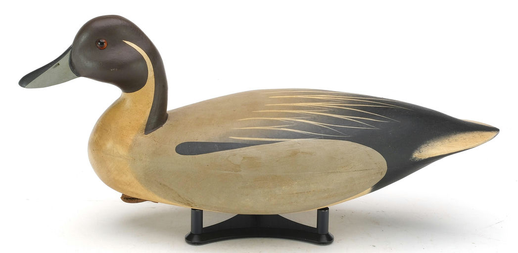 Rick Brown – Pintail – 2024