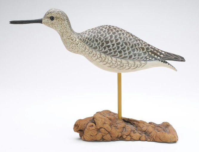 Cigar Daisey – Yellowlegs – 2024