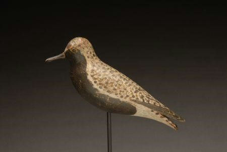 Elmer Crowell – Black-Bellied Plover – 2007