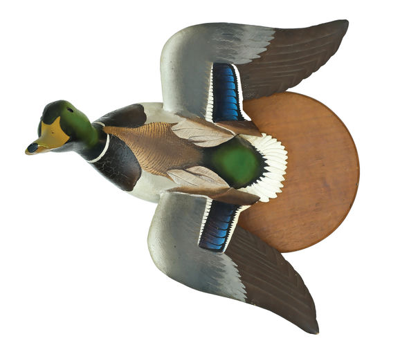 Ward Brothers – Pair of mallards – 2025