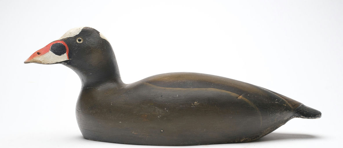 Ward Brothers – Scoter – 2026