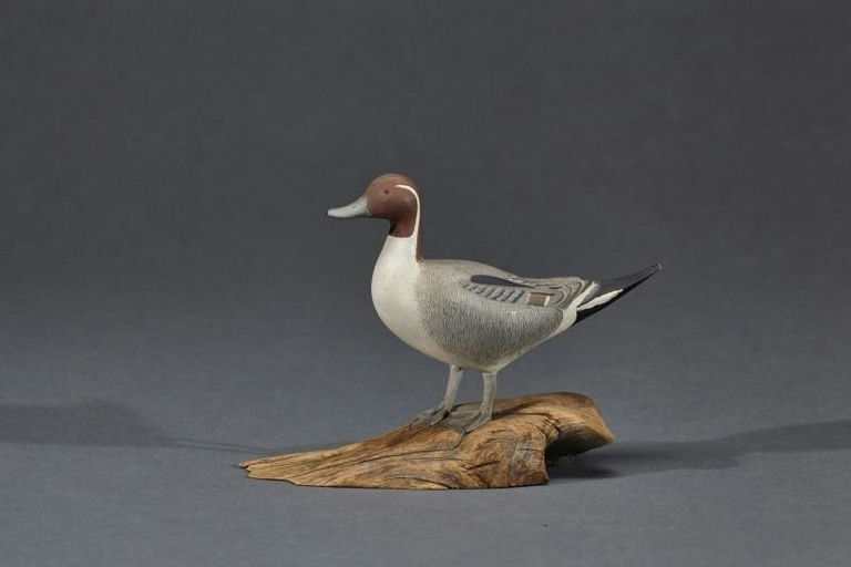 Harold Gibbs – Miniature Pintail – 2017