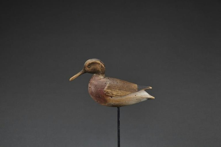 Mark McNair – Red Knot – 2017