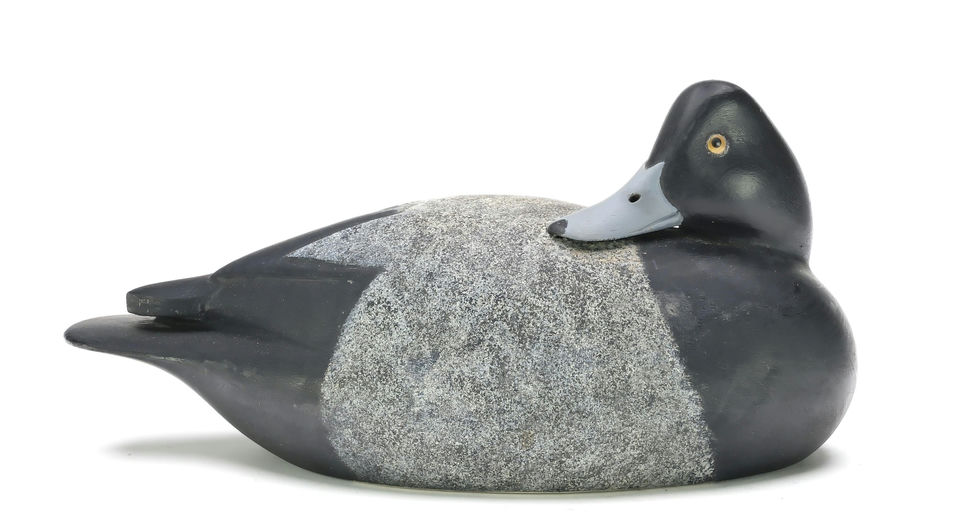 John McLoughlin – Scaup – 2025