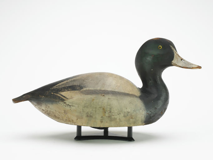 Ward Brothers – Bluebill – 2024