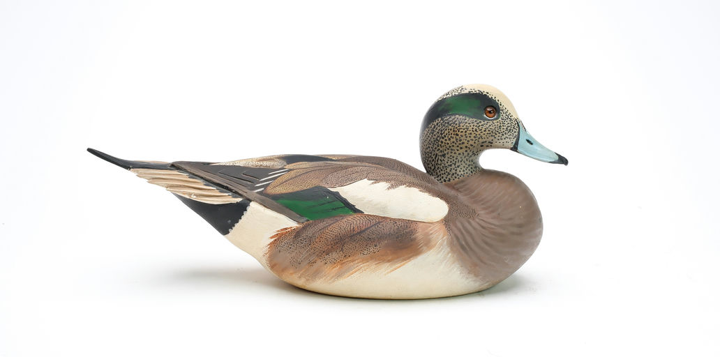 Ward Brothers – Decorative Widgeon – 2025