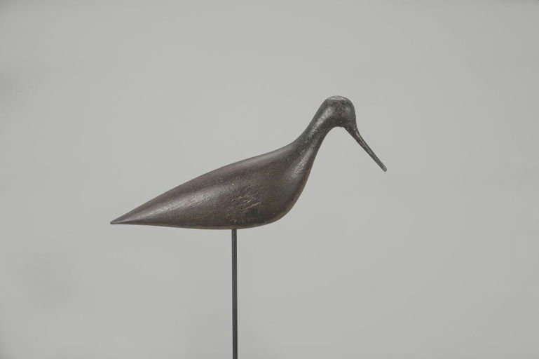 Nathan Rowley Horner – Rare Dowitcher – 2023