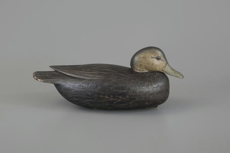 Jess Heisler – Black Duck – 2025