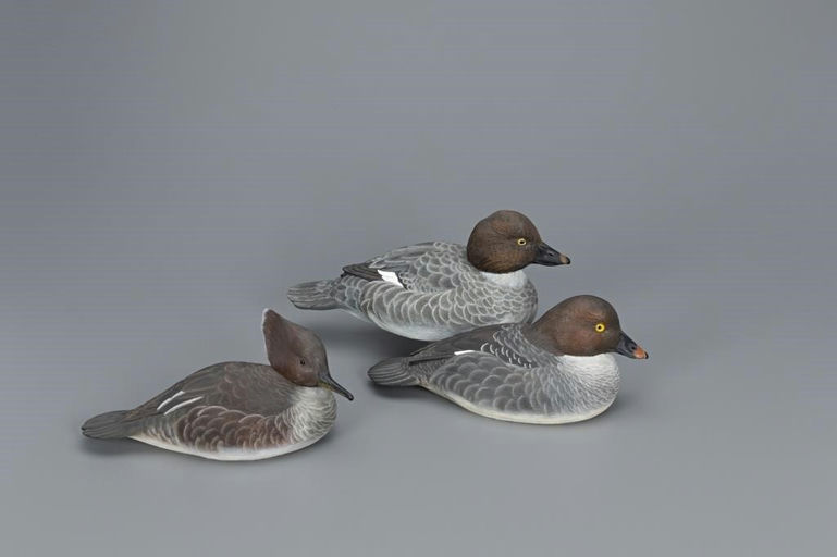 Kenneth L. Gleason – Two Goldeneye Hens and a Hooded Merganser Hen – 2019