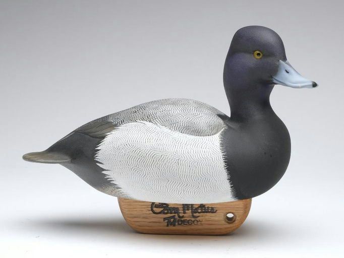 Tom Matus – Bluebill – 2023
