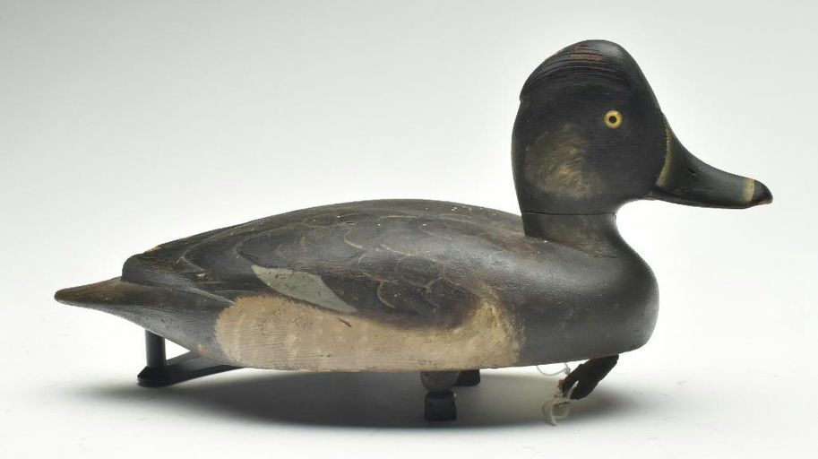 David W. Nichol – Ringneck – 2023