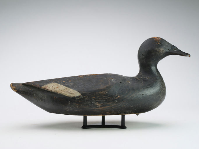 Gus Wilson – Scoter – 2024