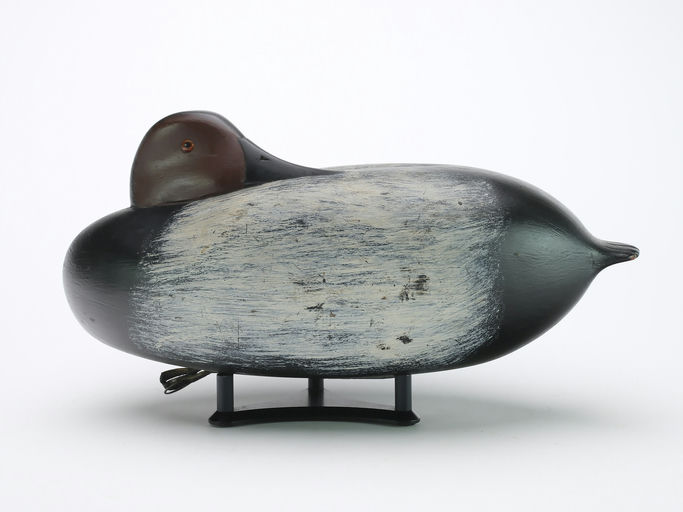 William Quinn – Canvasback – 2024