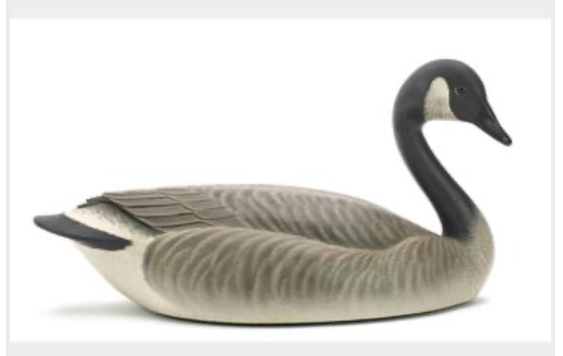 Marty Hanson – Canada Goose
