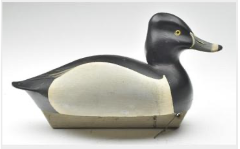 Marty Hanson – Ringneck