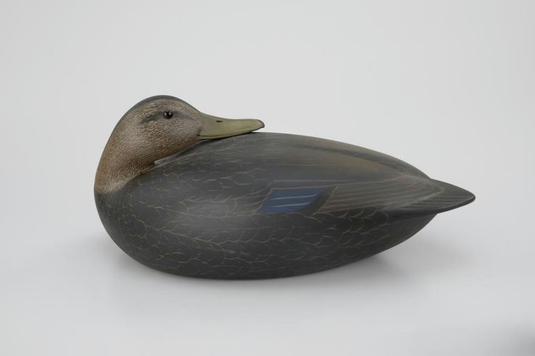 Keith Mueller – Black Duck – 2026