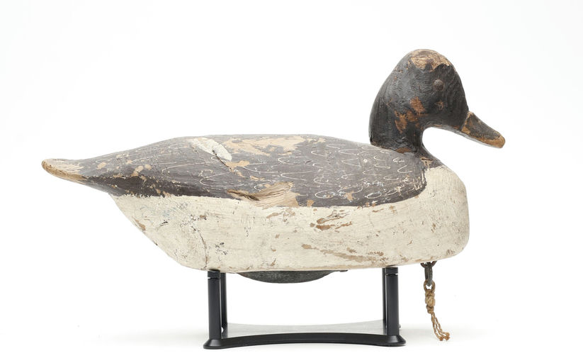 Miles Hancock – Scaup – 2026