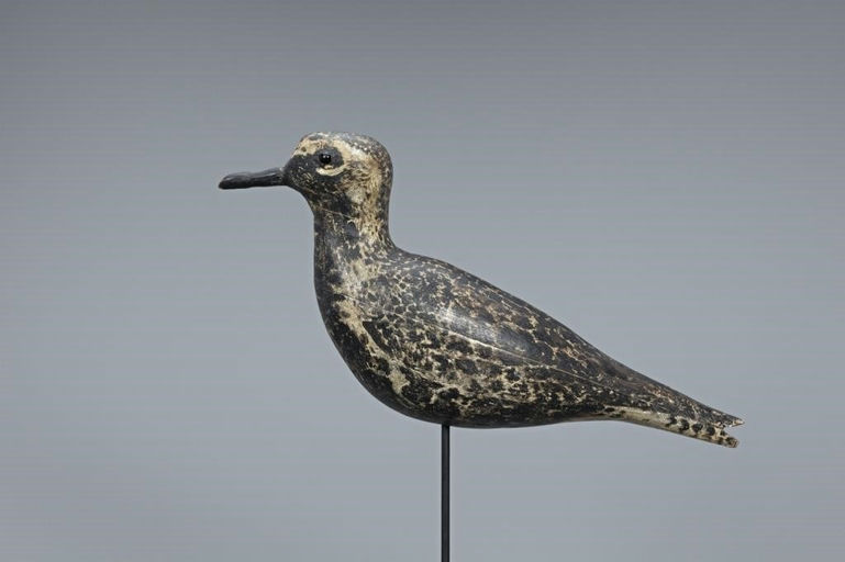 Elmer Crowell – Early Hollow Black-Bellied Plover – 2019