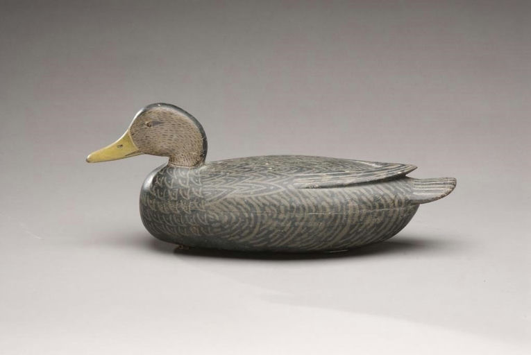 Tom Fitzpatrick – Black Duck – 2010